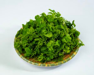 Đọt khổ qua rừng - sz nhỏ