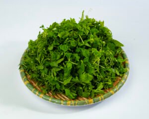 Đọt khổ qua rừng - sz lớn